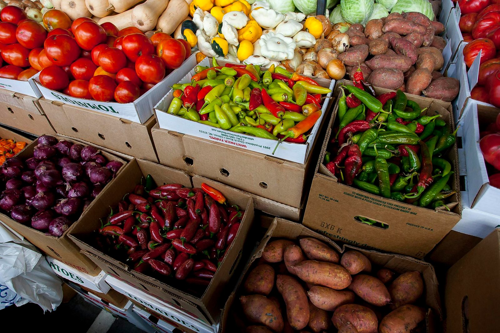 A vibrant display of fresh vegetables and produce at a Raleigh, NC market